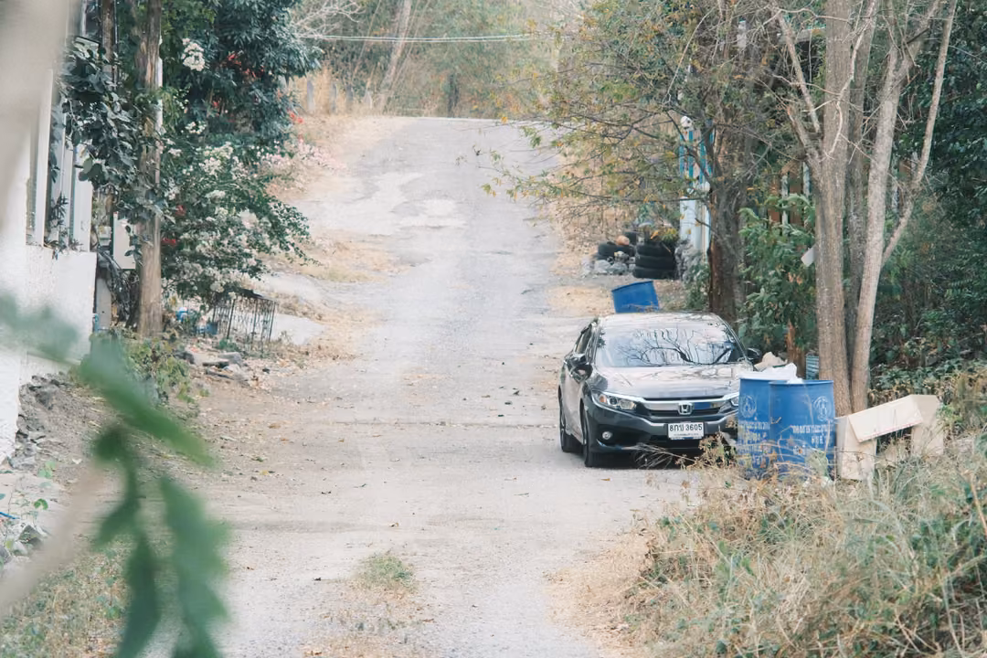 Dusty lane between dry trees with a dark car parked beside blue barrels, leaves in the foreground