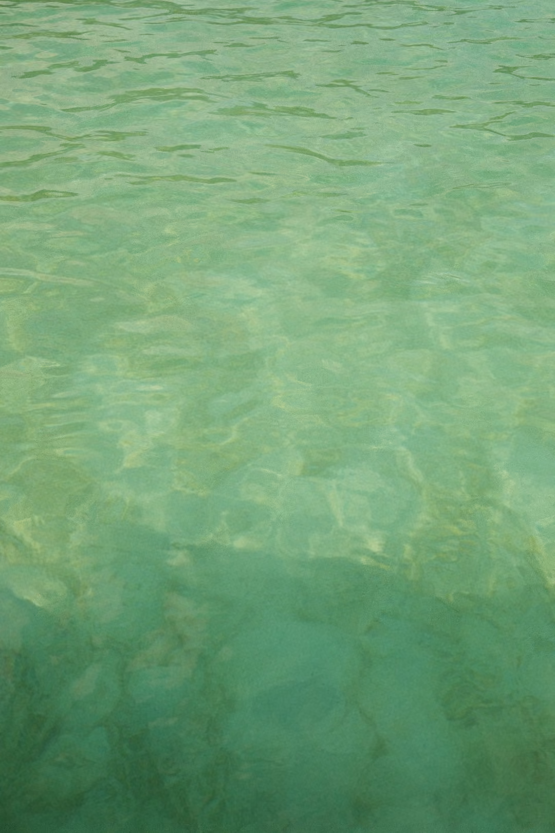 Clear green water from above, sunlight rippling over a large dark patch on the seabed.