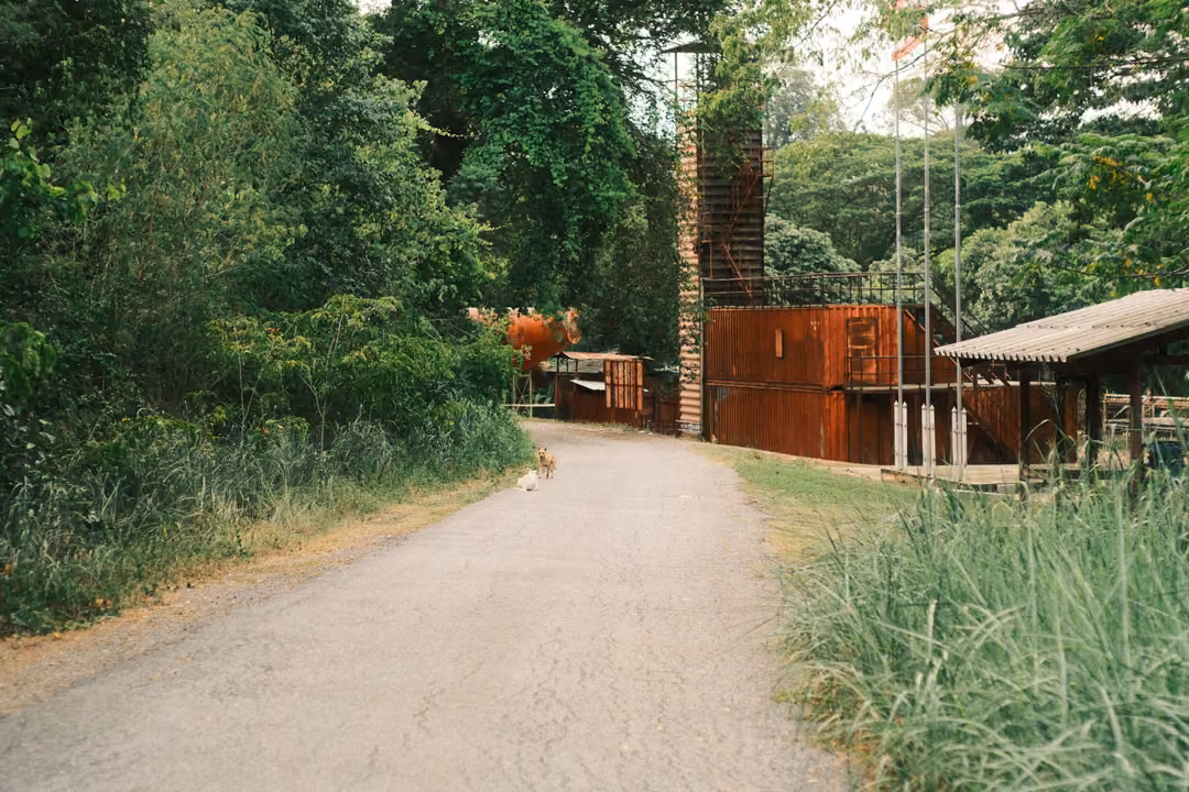 A paved path between tall grass and trees leading toward rust-red container buildings and a brick tower.