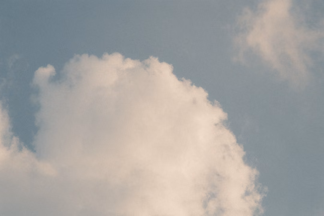 Billowing white cumulus cloud against a blue-grey sky