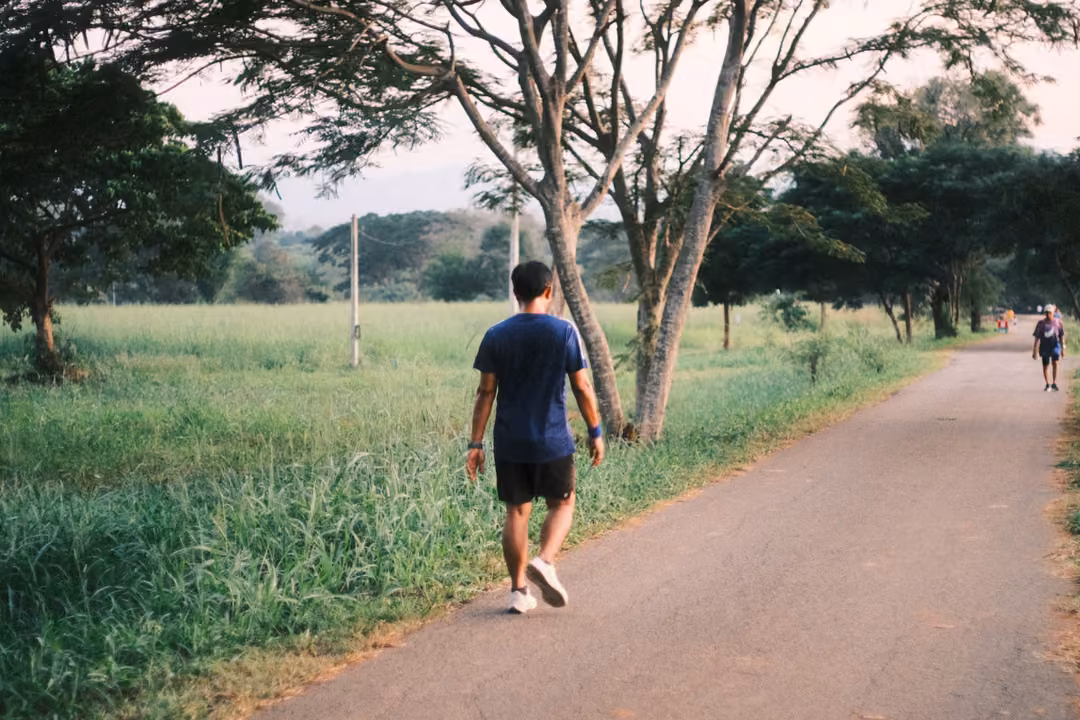 Person in a blue T-shirt walking along a path past tall grass and leaning trees, another walker far ahead