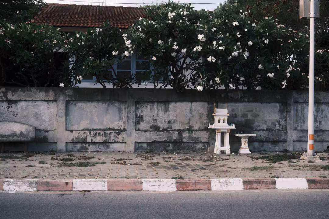Weathered grey wall with a small white spirit house in front, white flowering tree above and a striped kerb
