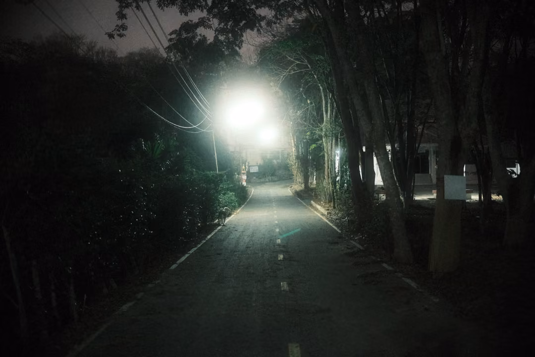 Empty road at night under bright white streetlamps, dark trees lining both sides