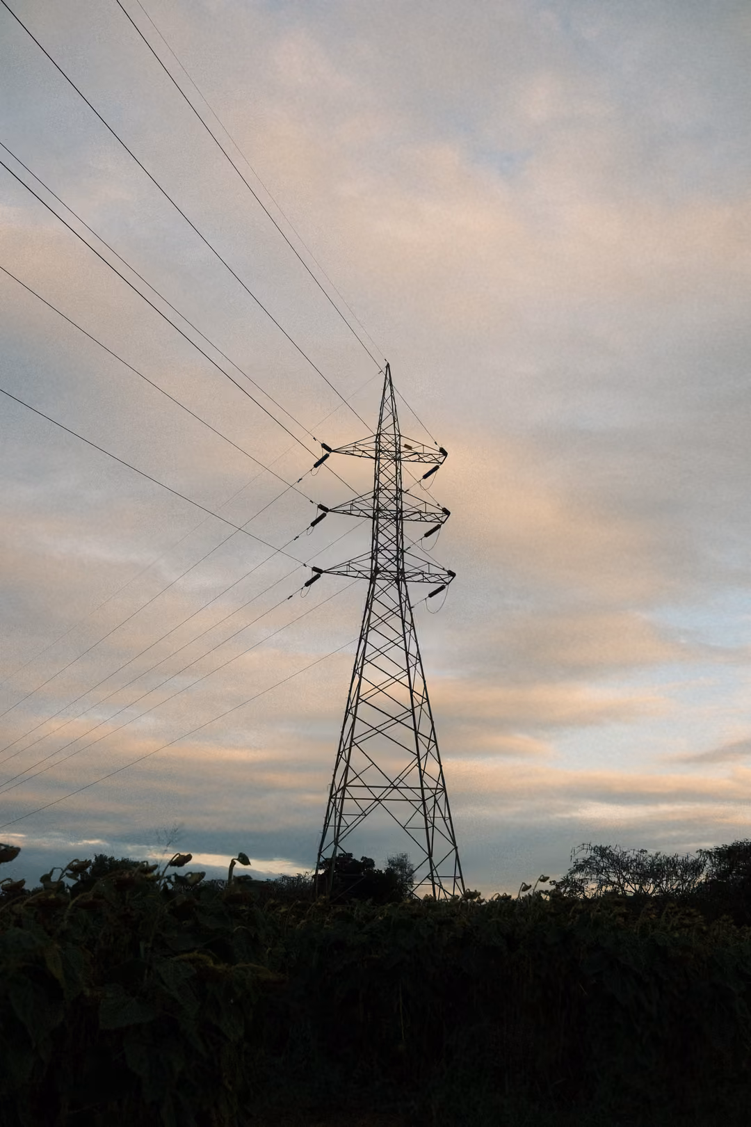 Vertical view of a steel power pylon and sweeping cables against a pink and blue evening sky, dark shrubs below