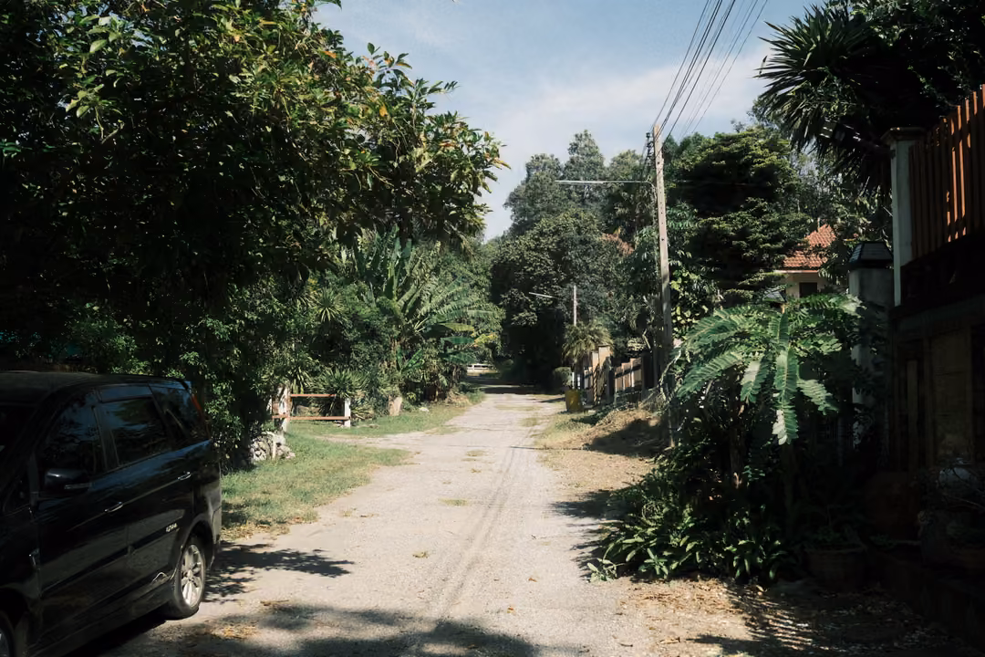 Dirt lane with tyre tracks under trees beside a parked dark car, power lines overhead