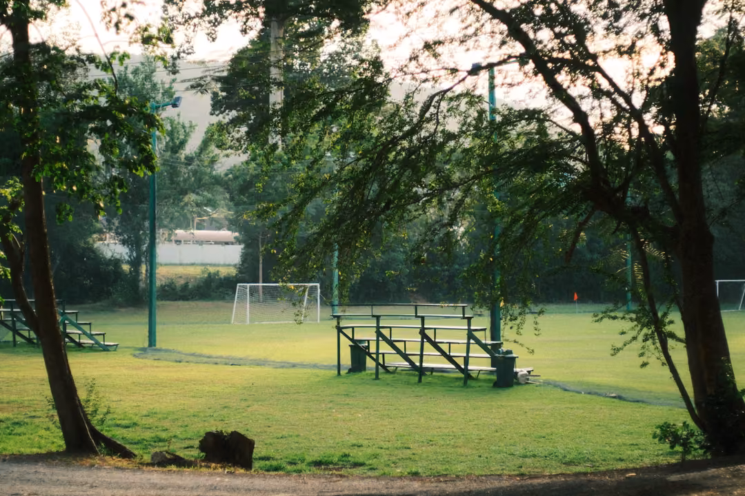 Empty metal bleachers and a white goal on a sunlit football field, framed by tree trunks and branches.