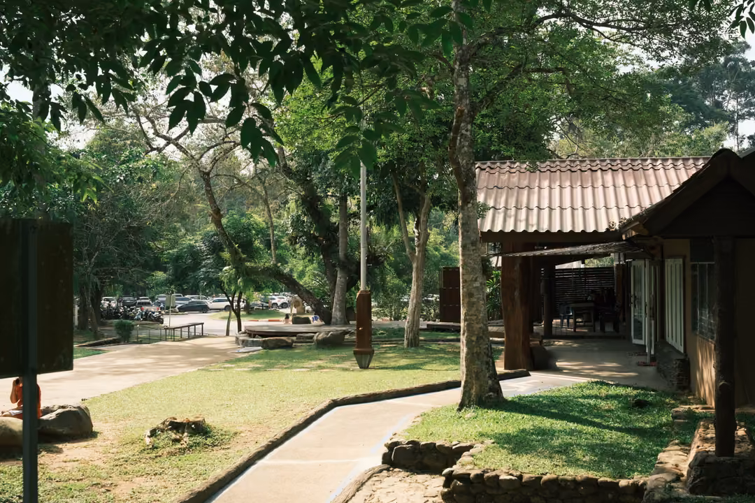 A sunny park lawn with a path, tall trees and a wooden building with a tiled roof