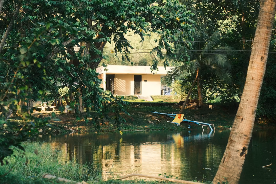 The same pond with the cream building's reflection, framed by leaves and a leaning palm trunk.