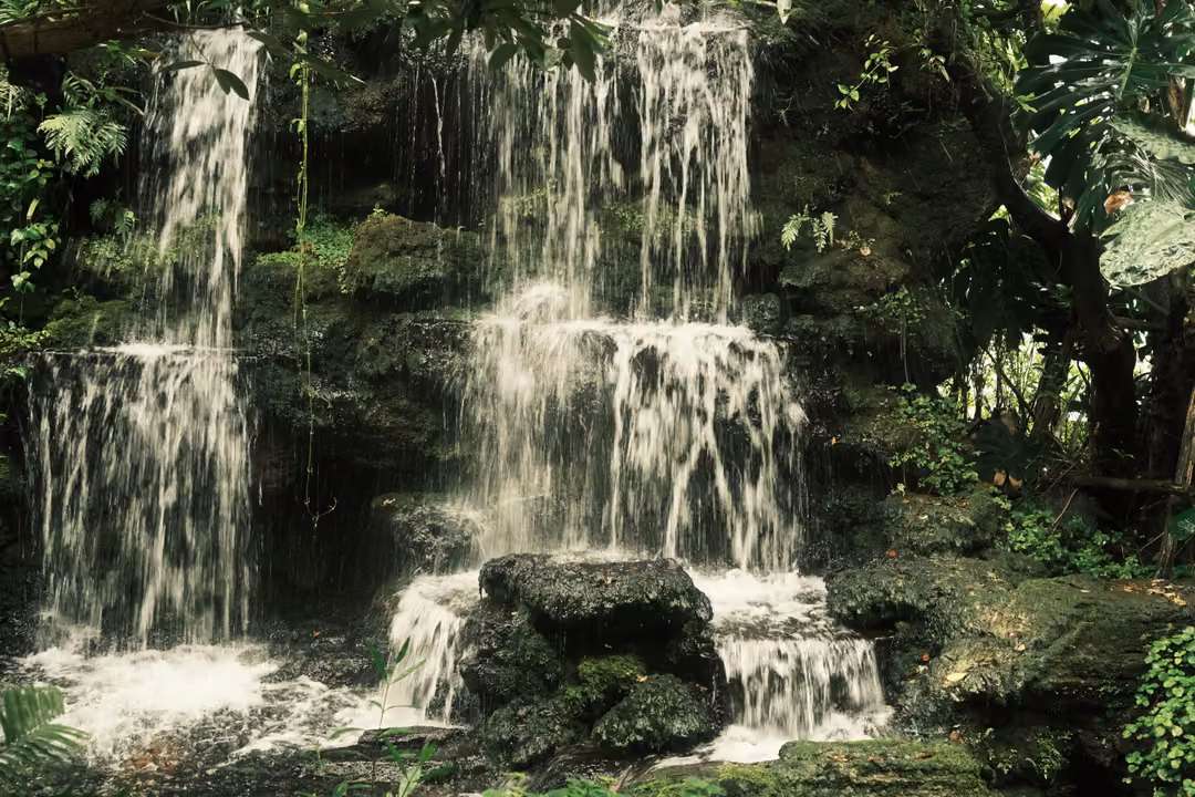 A waterfall spills in two white cascades over dark mossy rocks into a pool, ferns all around.