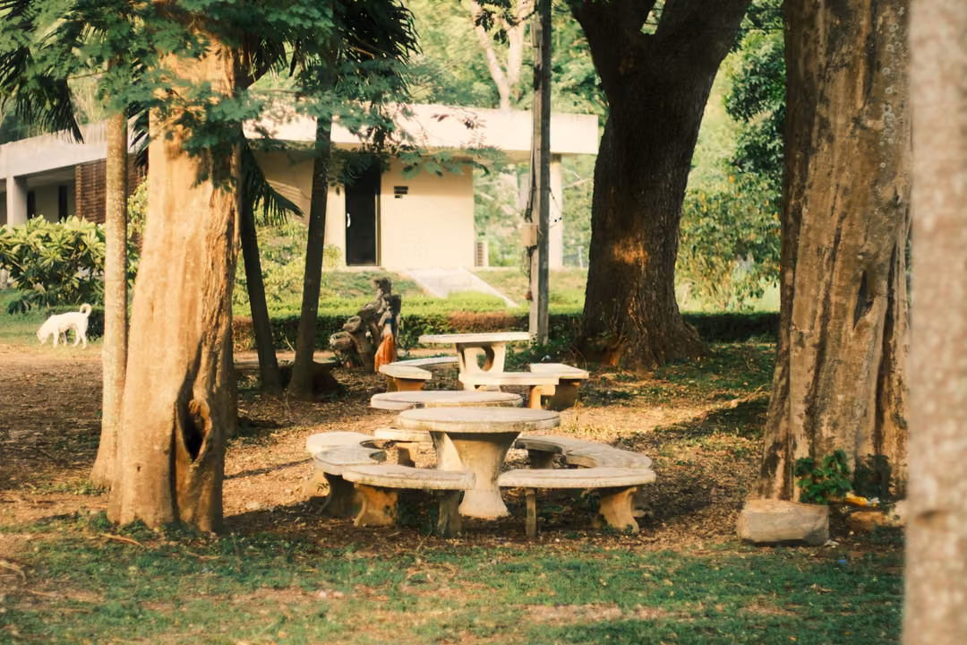 Round concrete tables and benches under large trees, a white dog and a pale building in the background.