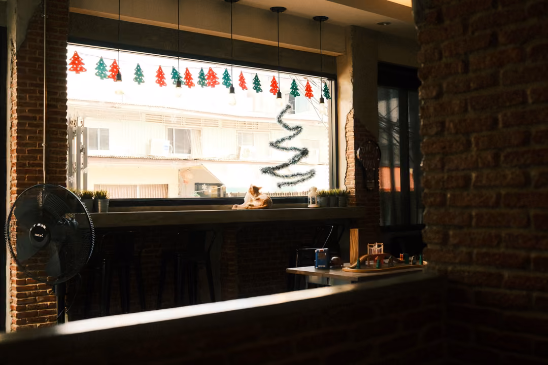 Same café window from the shadows, Christmas garland and tinsel tree, a fan and a small cat on the sill