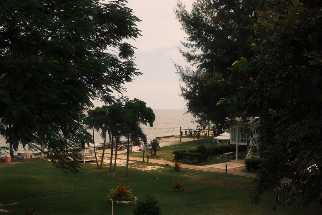 Garden of lawns, palms and paths framed by dark leafy branches, the sea and a white building beyond
