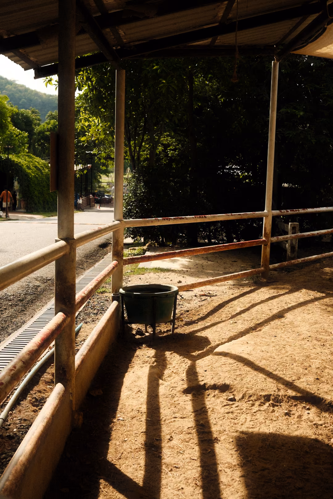 Shaded stall with metal railings, a green bucket and long shadows across sandy ground