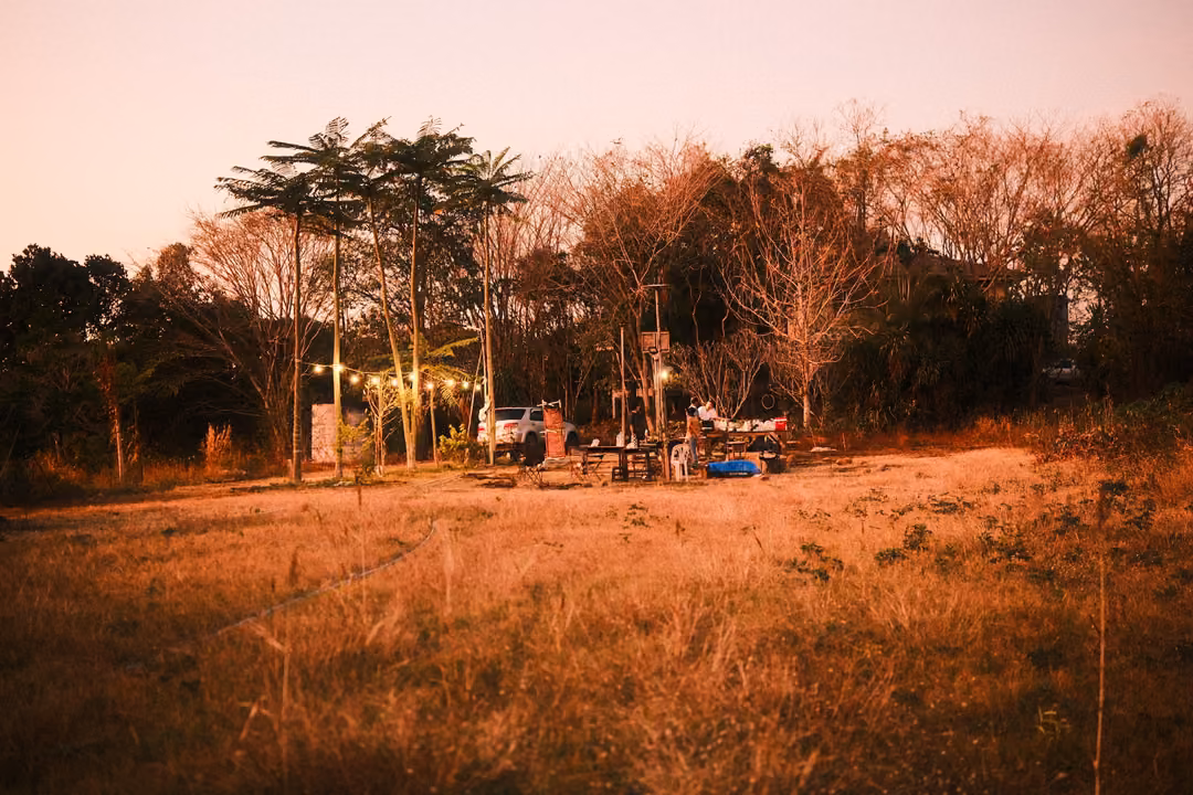 Campsite in a dry grassy clearing lit by string lights at dusk, palm trees and bare trees behind