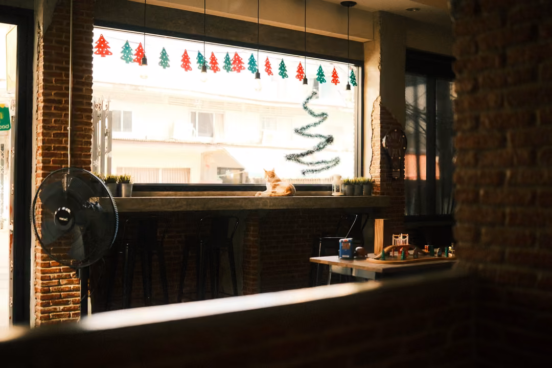 Dim café interior looking toward a bright window with paper Christmas tree garland, a fan and a cat on the sill
