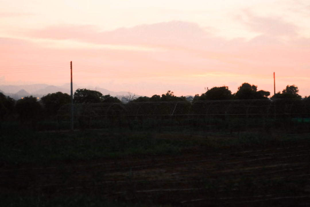 Pink evening sky over dark trees and a field with tall poles