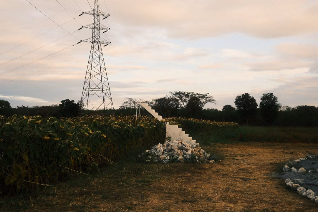 Field with a white staircase, a pile of white stones, sunflowers and a tall power pylon under a cloudy sky