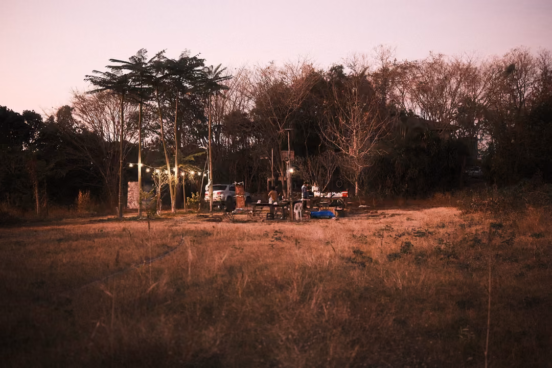 Darker view of a campsite with string lights in a dry grass clearing under bare trees at dusk