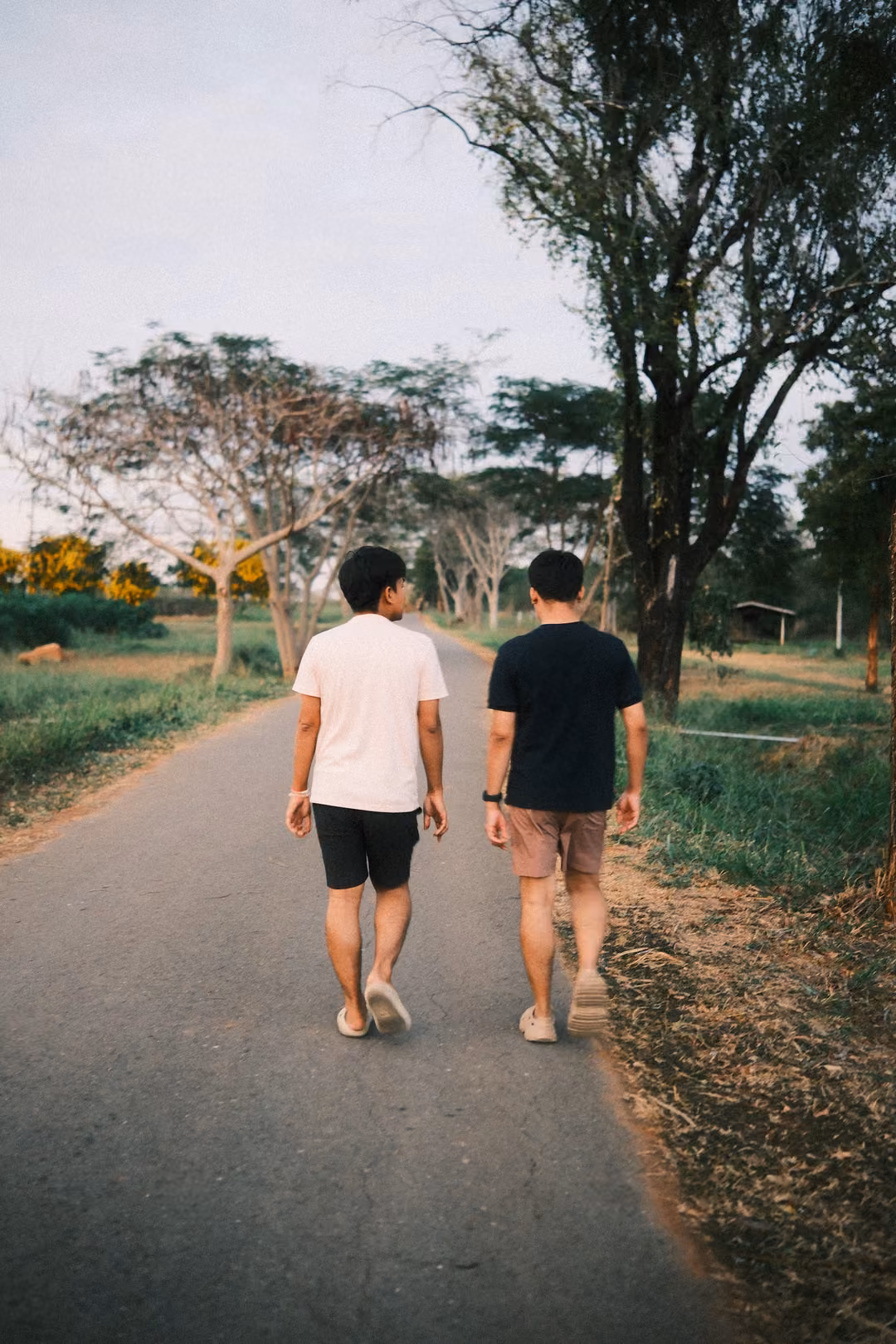 Two people seen from behind walking along a paved road between trees, one in a white shirt, one in black