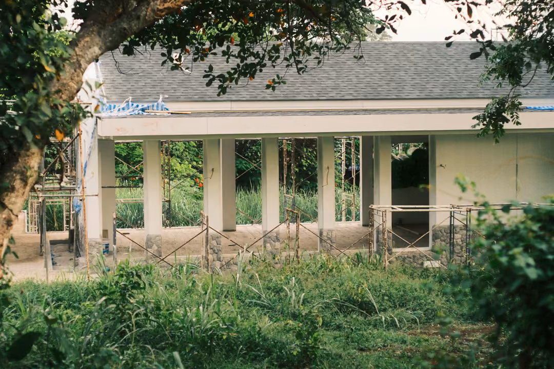 An unfinished building with open window frames, a grey tiled roof and scaffolding, surrounded by tall grass and leaves.