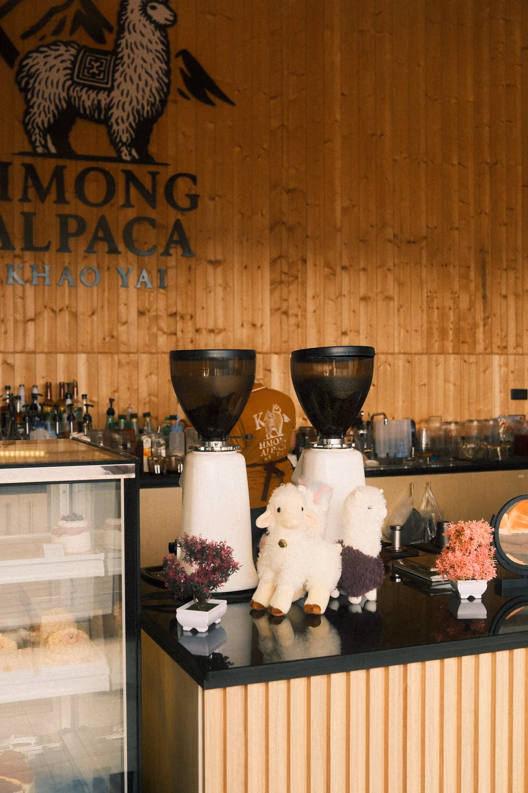 A wooden café wall with an alpaca logo and the word ALPACA, coffee grinders and plush sheep toys below.