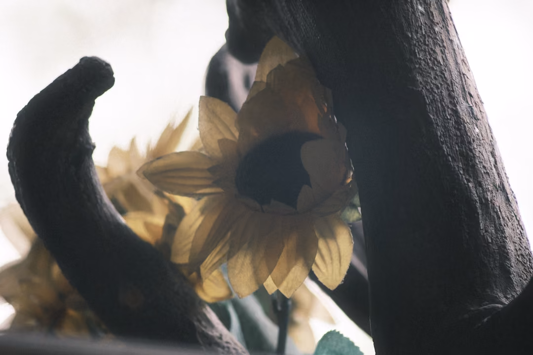 A yellow artificial sunflower held between dark carved wooden branches against a bright pale background.