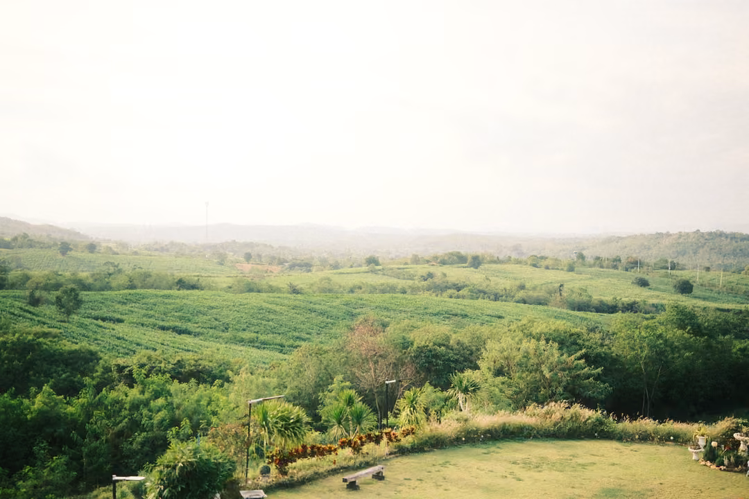 A bright, hazy view over green fields and forest with a lawn, benches and a flower bed in the foreground.