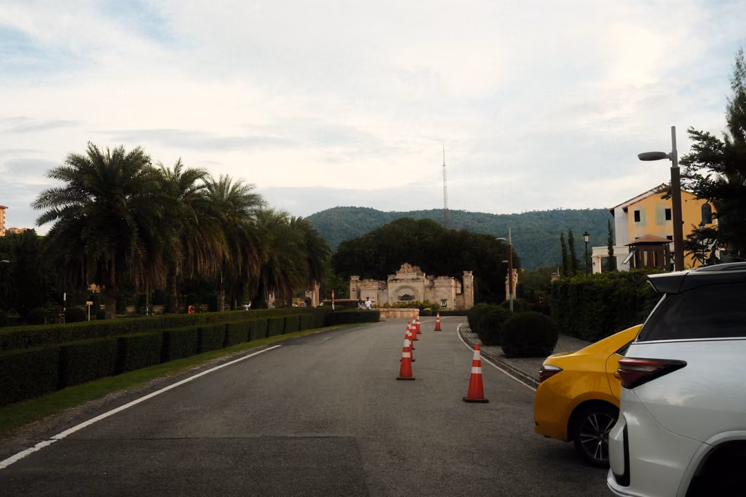 Road lined with hedges and palms, a row of traffic cones, a yellow and a white car, and green hills behind