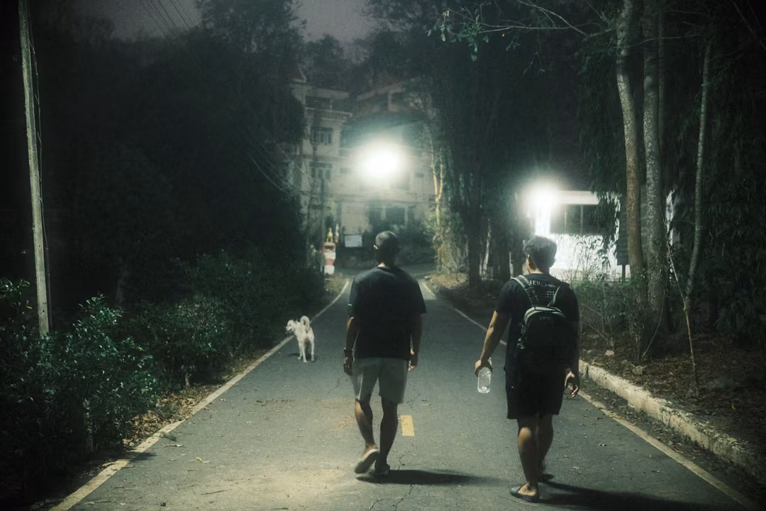 Two men seen from behind walking down a night road under streetlamps, a white dog ahead