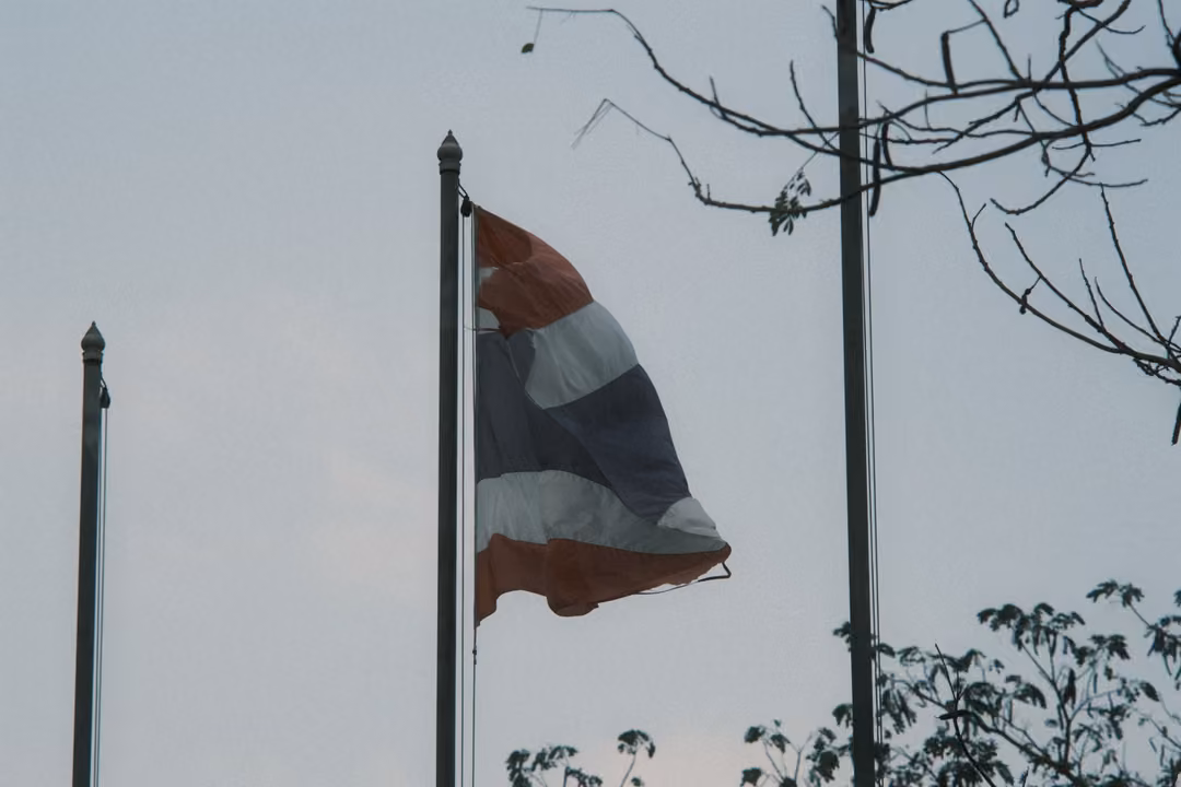 Red, white and blue striped flag flying on a pole beside bare branches and another pole against a grey sky