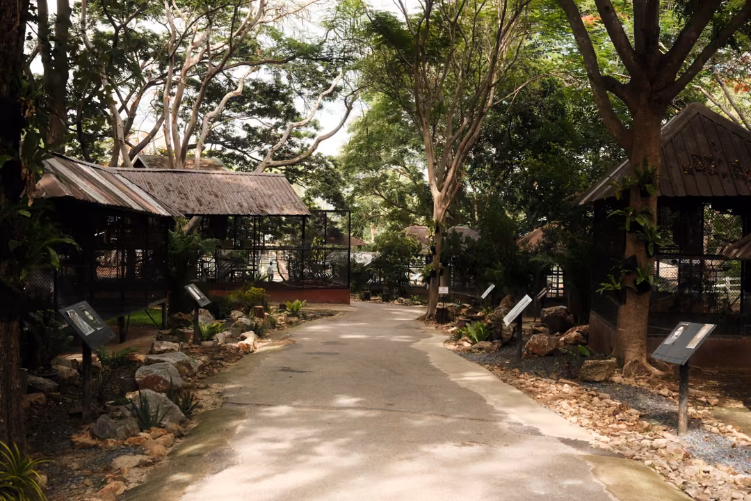 Shaded path lined with rocks, small signs and roofed pavilions under tall trees