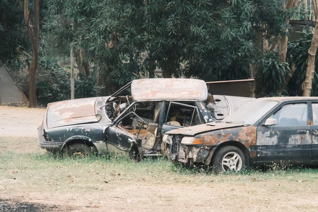 Two burned and rusted car wrecks with smashed windows sitting on dry grass under trees