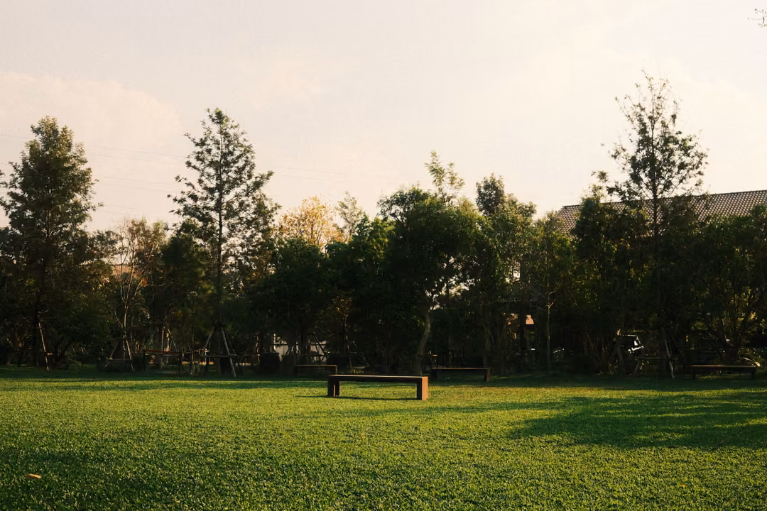 Wide green lawn with a single wooden bench in the middle, a line of trees and hazy sky behind