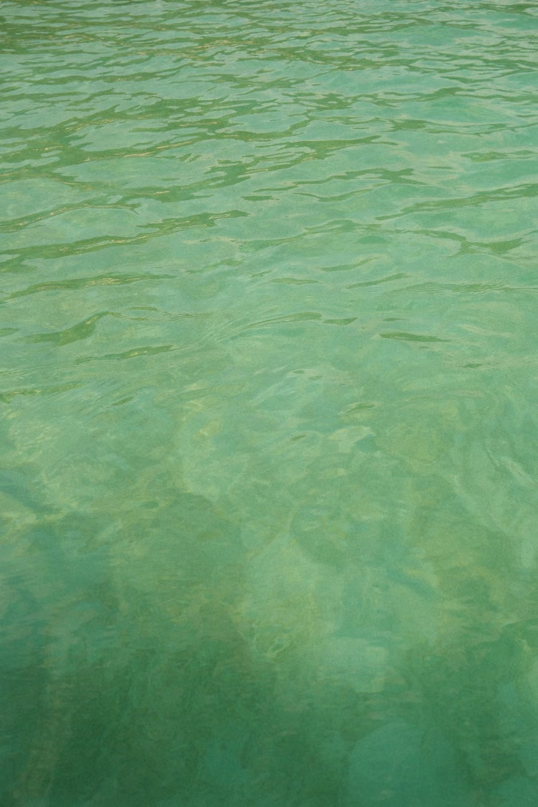 Looking down into clear green sea water, light rippling over darker shapes on the bottom.