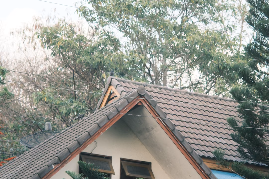 Tiled gable roof of a pale house framed by leafy trees and a tall conifer against a hazy sky