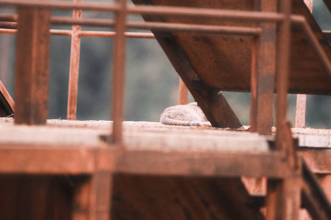 Close view through rusty orange railings of a metal stair underside, a grey shape resting on a platform