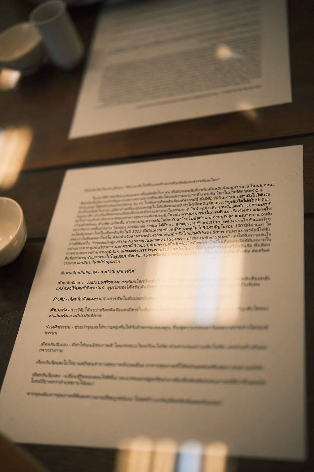 Printed sheets of text in Thai lying on a dark wooden table beside small white teacups