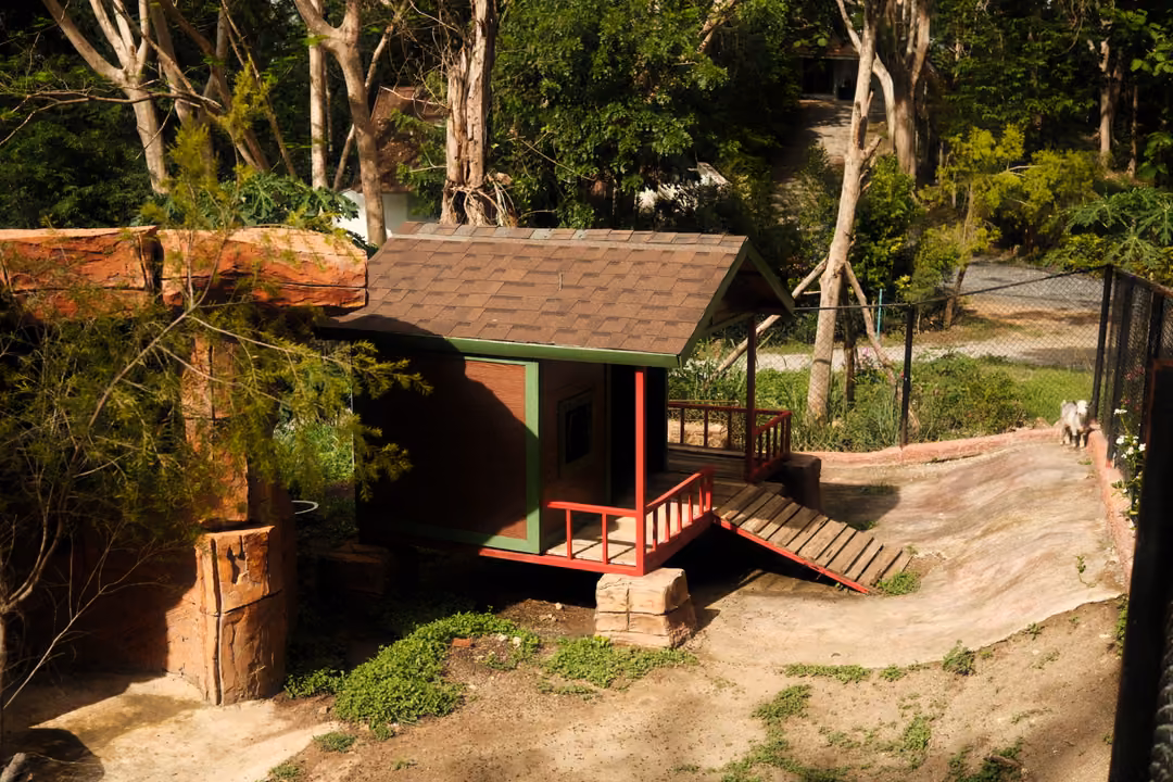 Small red-railed hut with a wooden ramp in an enclosure among trees and a stone wall
