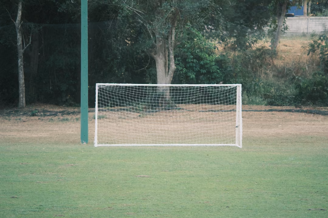 White football goal with net on a green pitch, a tall green pole beside it and trees beyond