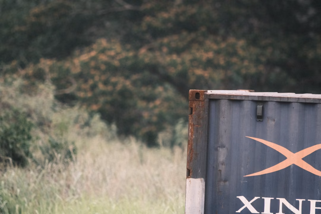 The corner of a weathered blue shipping container with partial white lettering, tall grass and trees beyond