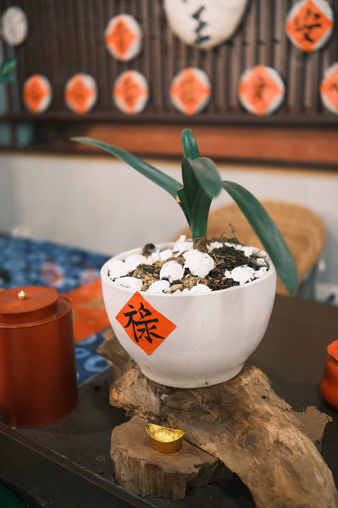 White bowl planter marked with a red 祿 card, holding a green plant on pebbles, set on driftwood beside a red tin