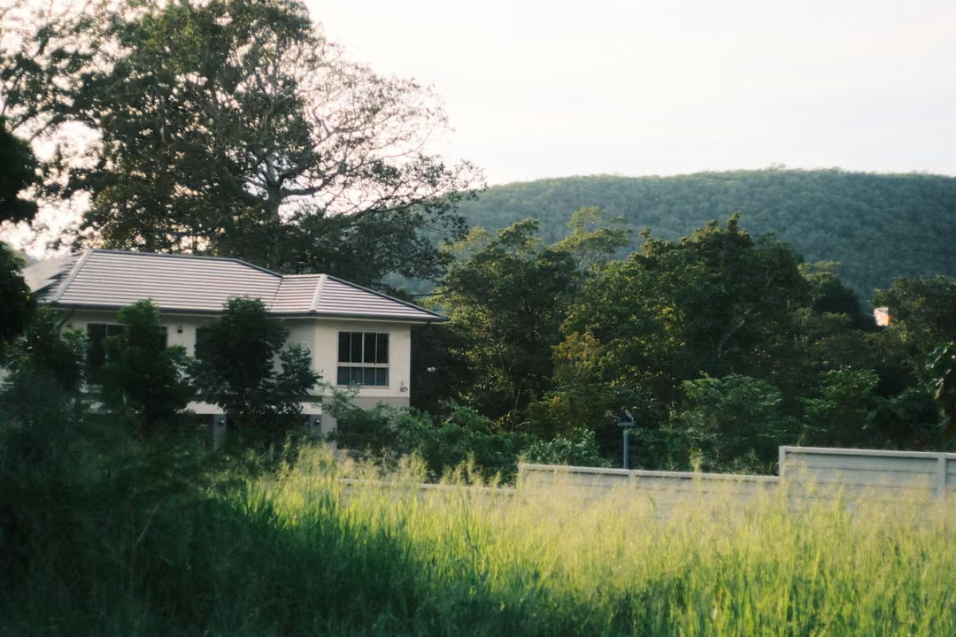 Two-storey house half hidden behind tall grass and trees, with a forested hill and pale sky behind