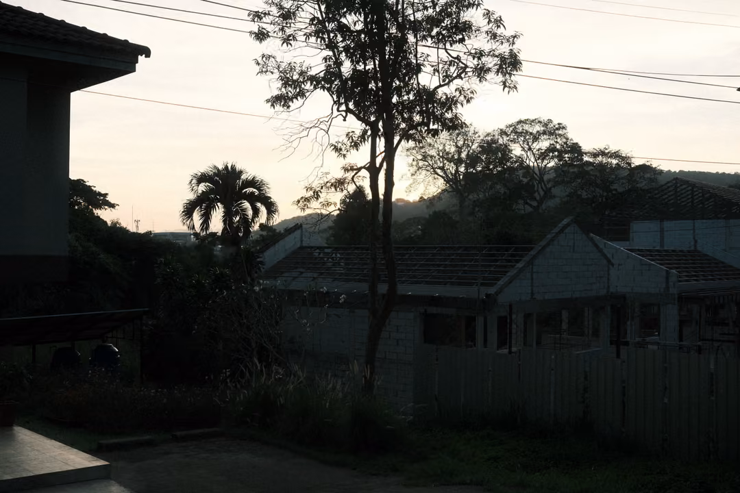 Silhouetted row of unfinished houses behind a fence, with a palm and trees against a pale evening sky