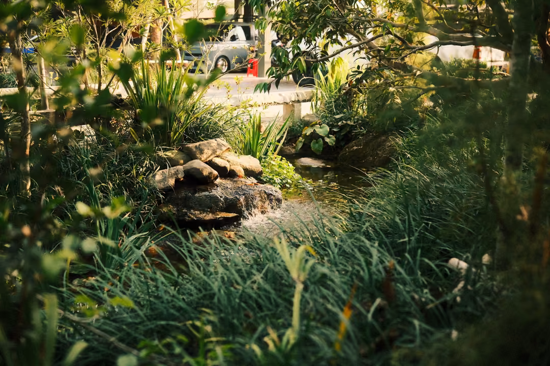 Lush garden with grasses and broad-leaved plants around a small rocky stream, a parked pickup beyond