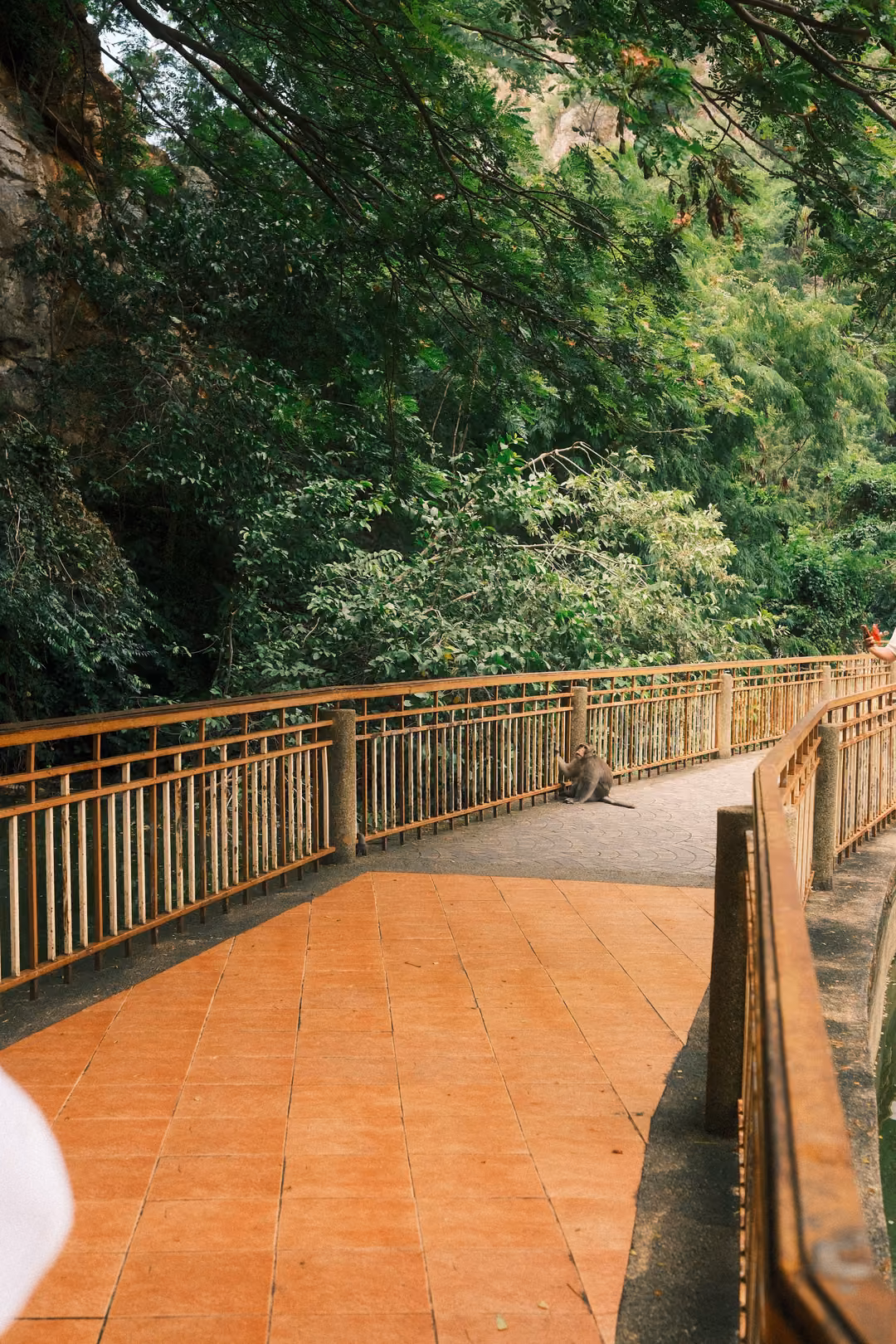 Orange tiled walkway curving beside a metal railing under trees, a small monkey sitting far along the path