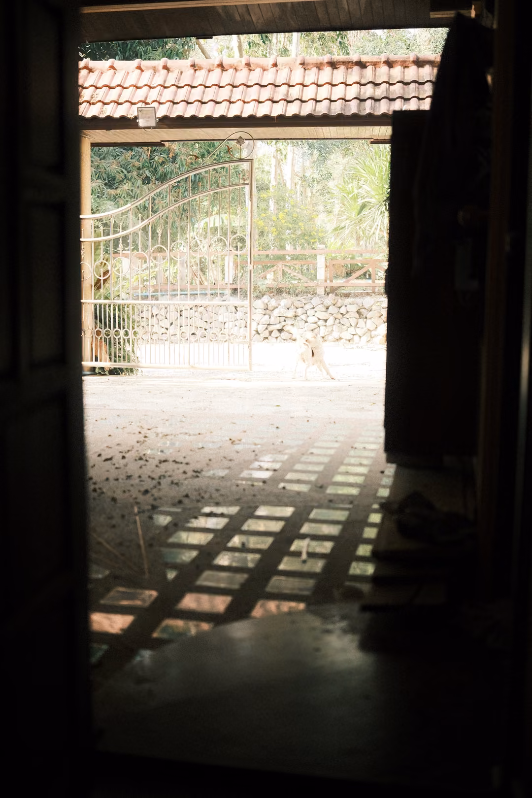 Dark doorway framing an empty sunlit tiled courtyard with an arched metal gate beyond
