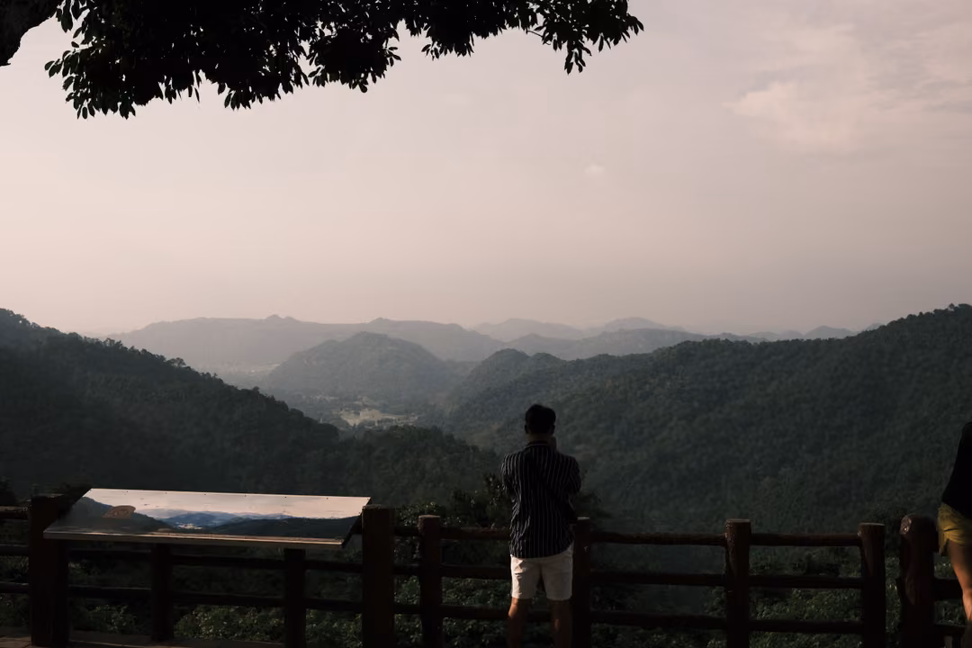 A person stands at a wooden railing at a viewpoint, looking over layered mountains under a branch.