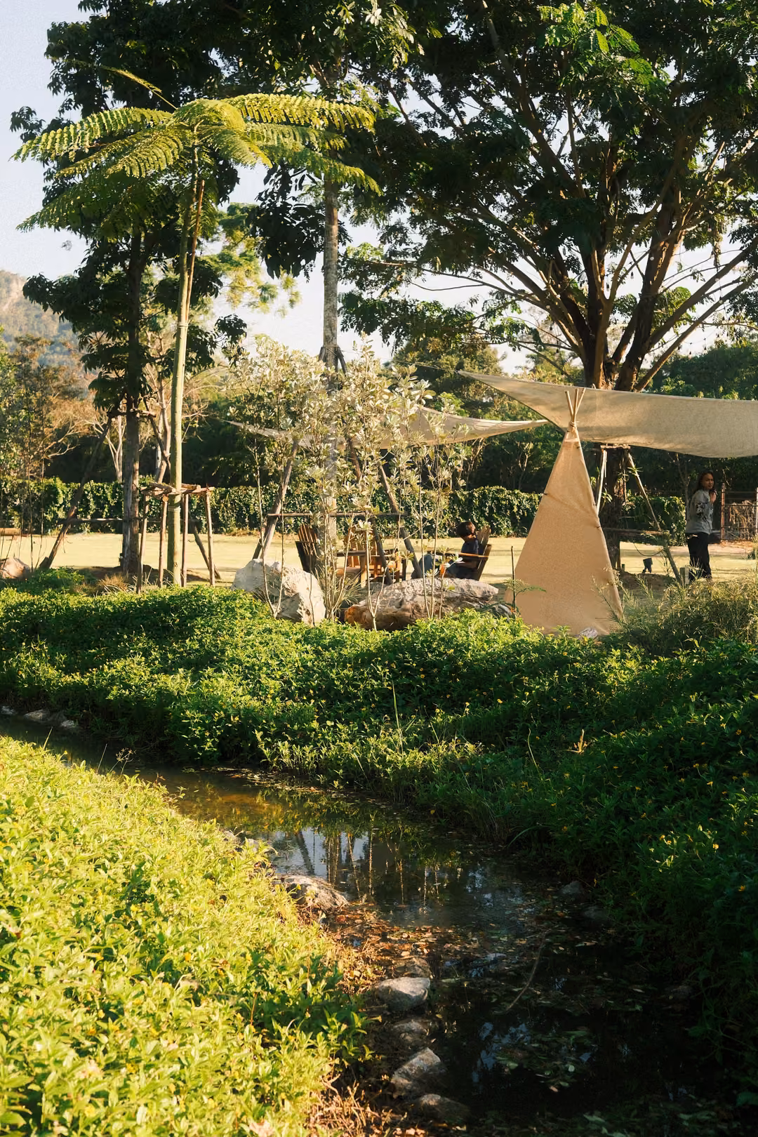 Stream between green banks leading toward a canvas tent and garden, tall leafy trees overhead