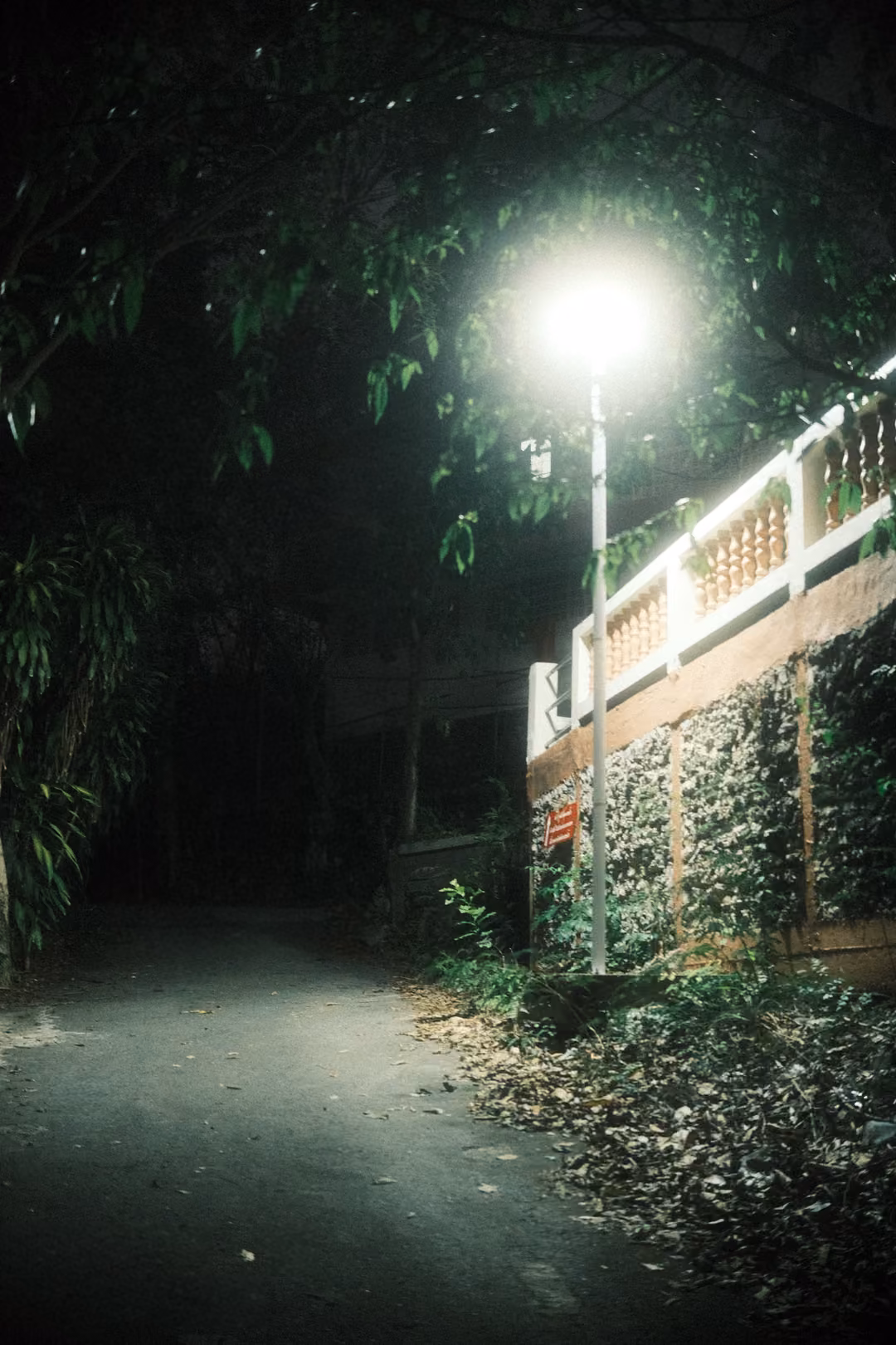 Narrow path at night beside a white balustrade, a single streetlamp shining among dark trees