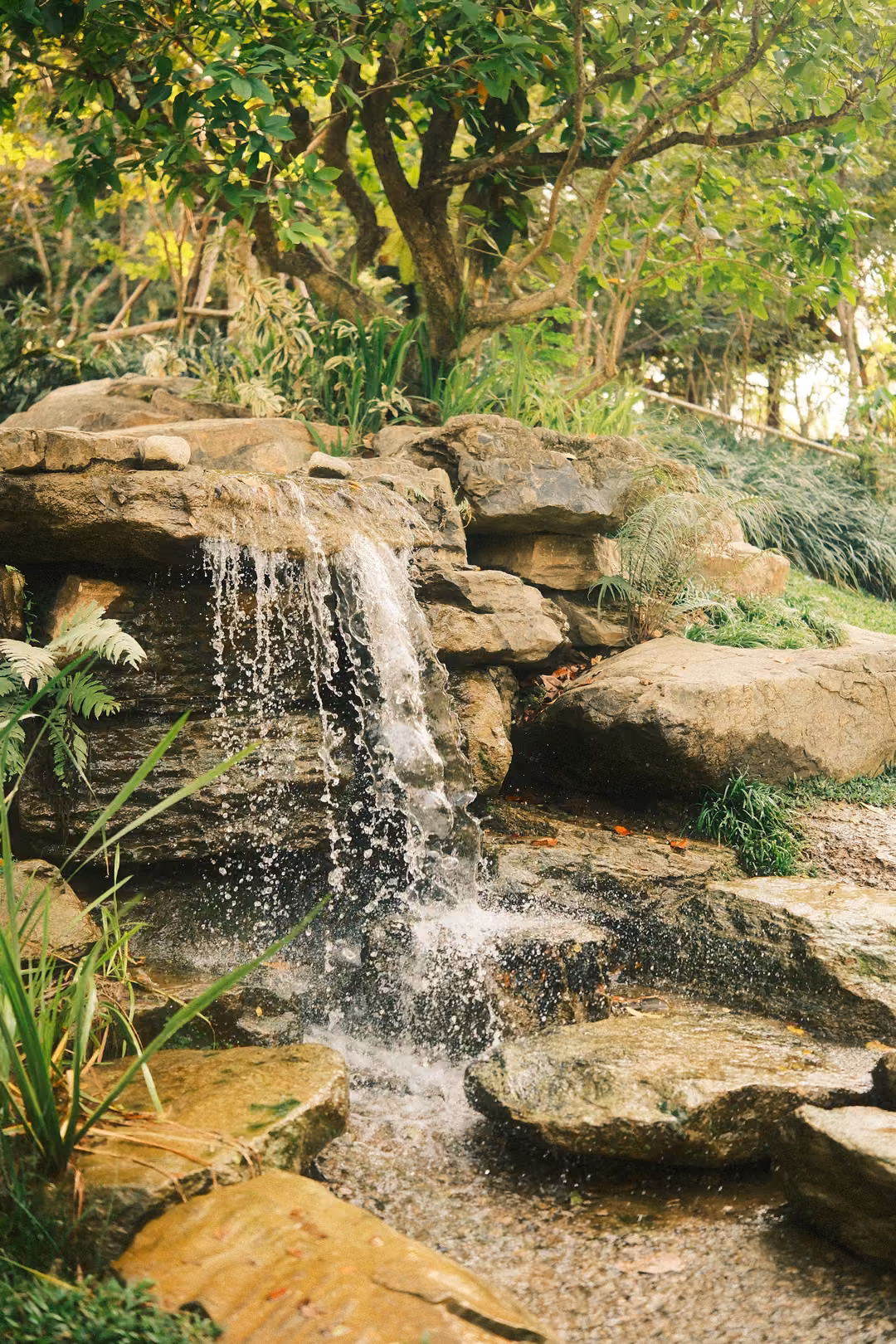 Close view of water falling over stacked rocks into a shallow pool, with ferns and leaves around